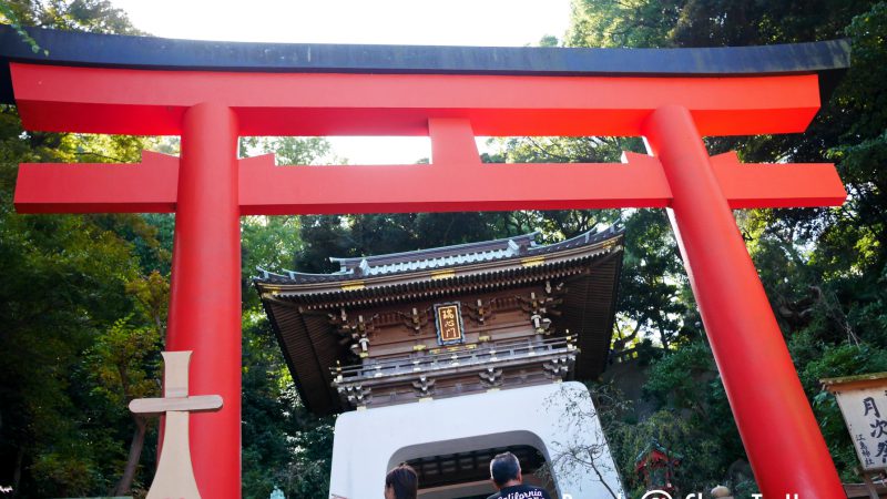 +++  Japan Trip: เที่ยว ญี่ปุ่น เน้นกิน ถ่ายรูป ช็อป ภาค 1 +++