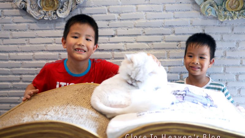 พาลูกเที่ยว คาเฟ่แมว Purr Cat Cafe Club บ้าง