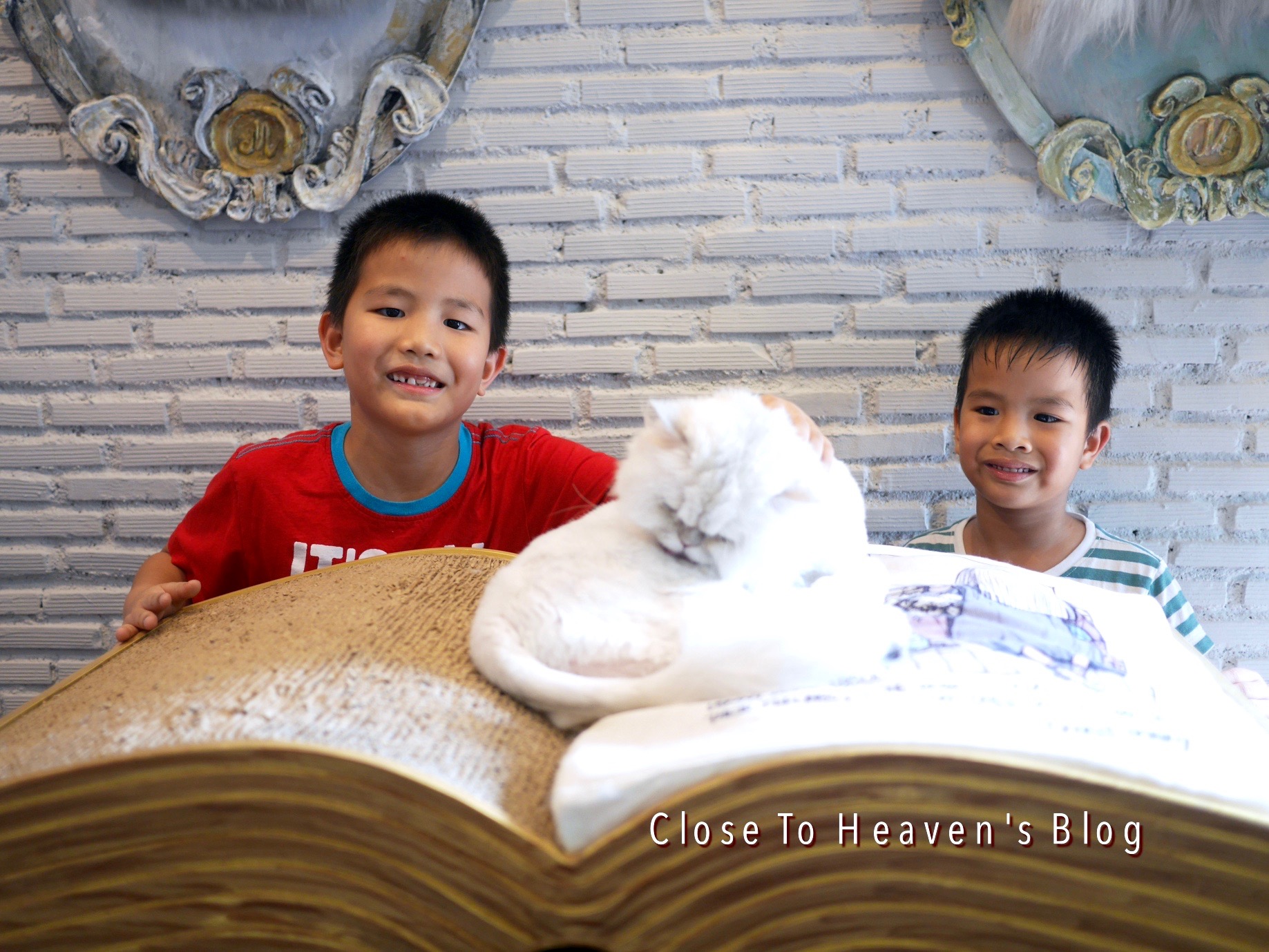 พาลูกเที่ยว คาเฟ่แมว Purr Cat Cafe Club บ้าง