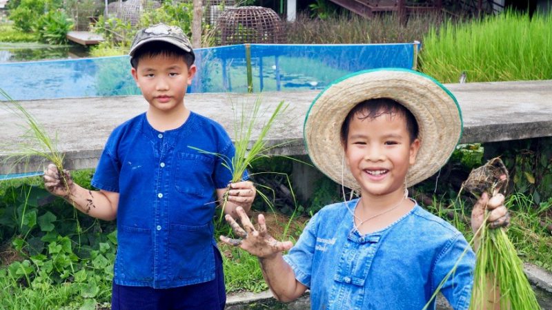 โครงการเกษตรอินทรีย์ สนามบินสุโขทัย ควรค่าแก่การพาลูกมาเที่ยวอย่างยิ่ง