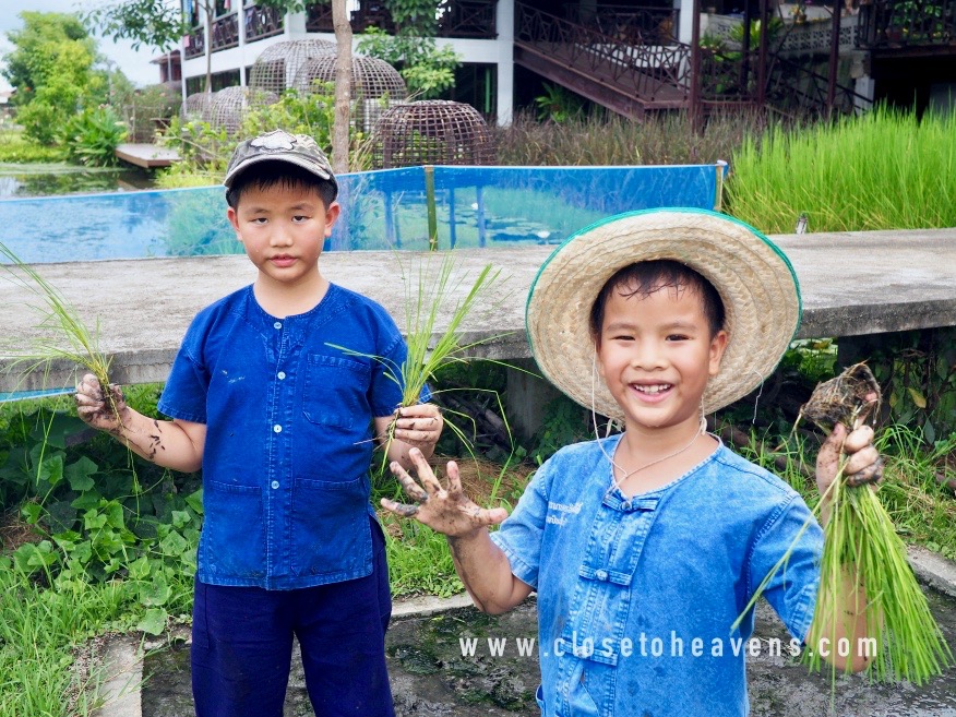 โครงการเกษตรอินทรีย์ สนามบินสุโขทัย ควรค่าแก่การพาลูกมาเที่ยวอย่างยิ่ง