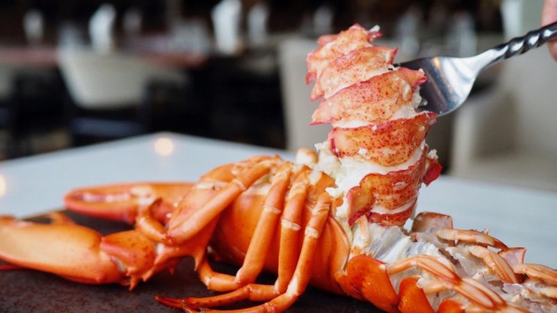 Copper International Buffet จัดโปรโมชั่นกุ้ง Lobsters