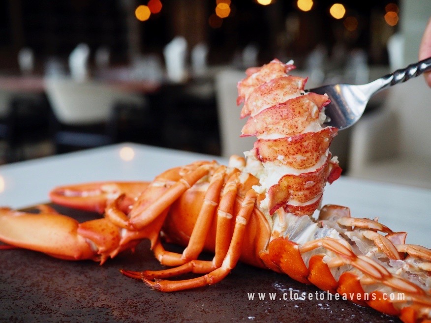 Copper International Buffet จัดโปรโมชั่นกุ้ง Lobsters