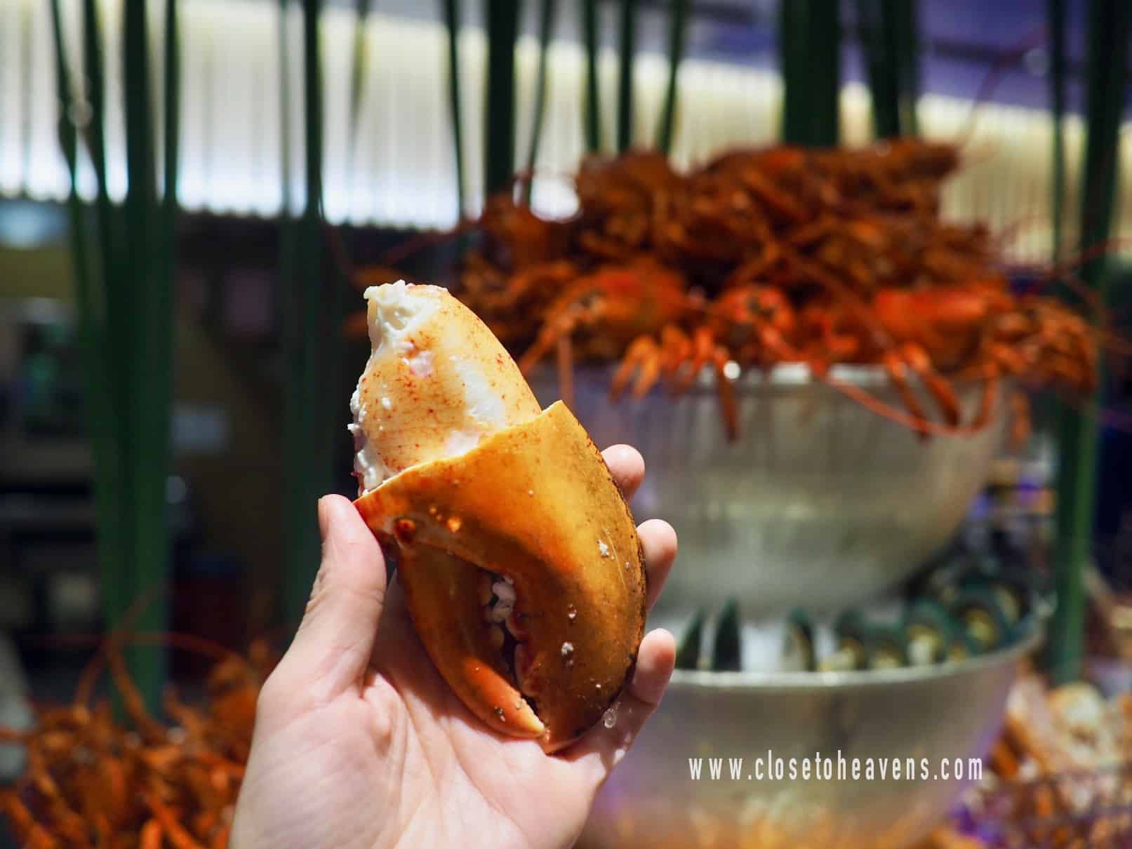 โปรโมชั่น บุฟเฟ่ต์ ล็อบสเตอร์ & Street Food 5 ร้านดัง @ Next2 Cafe