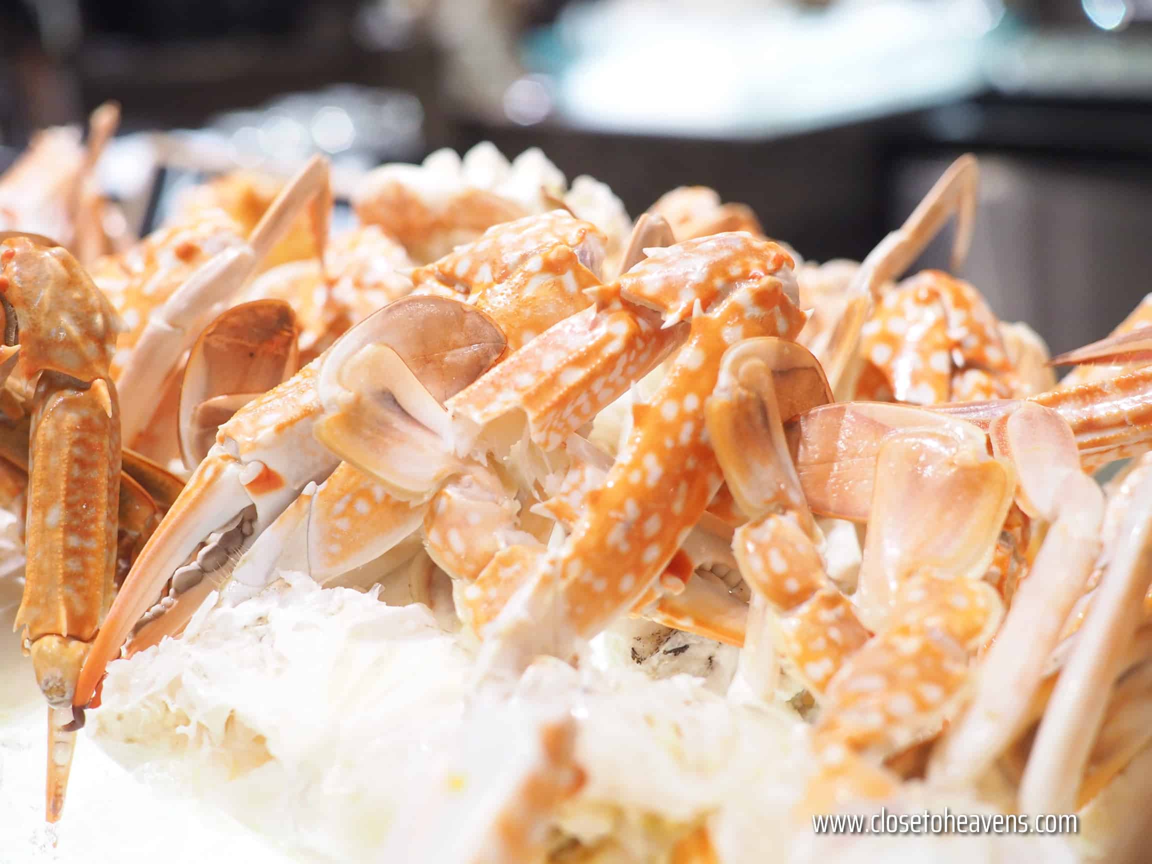 Grand Dinner Buffet @ JW Café, JW Marriott Bangkok