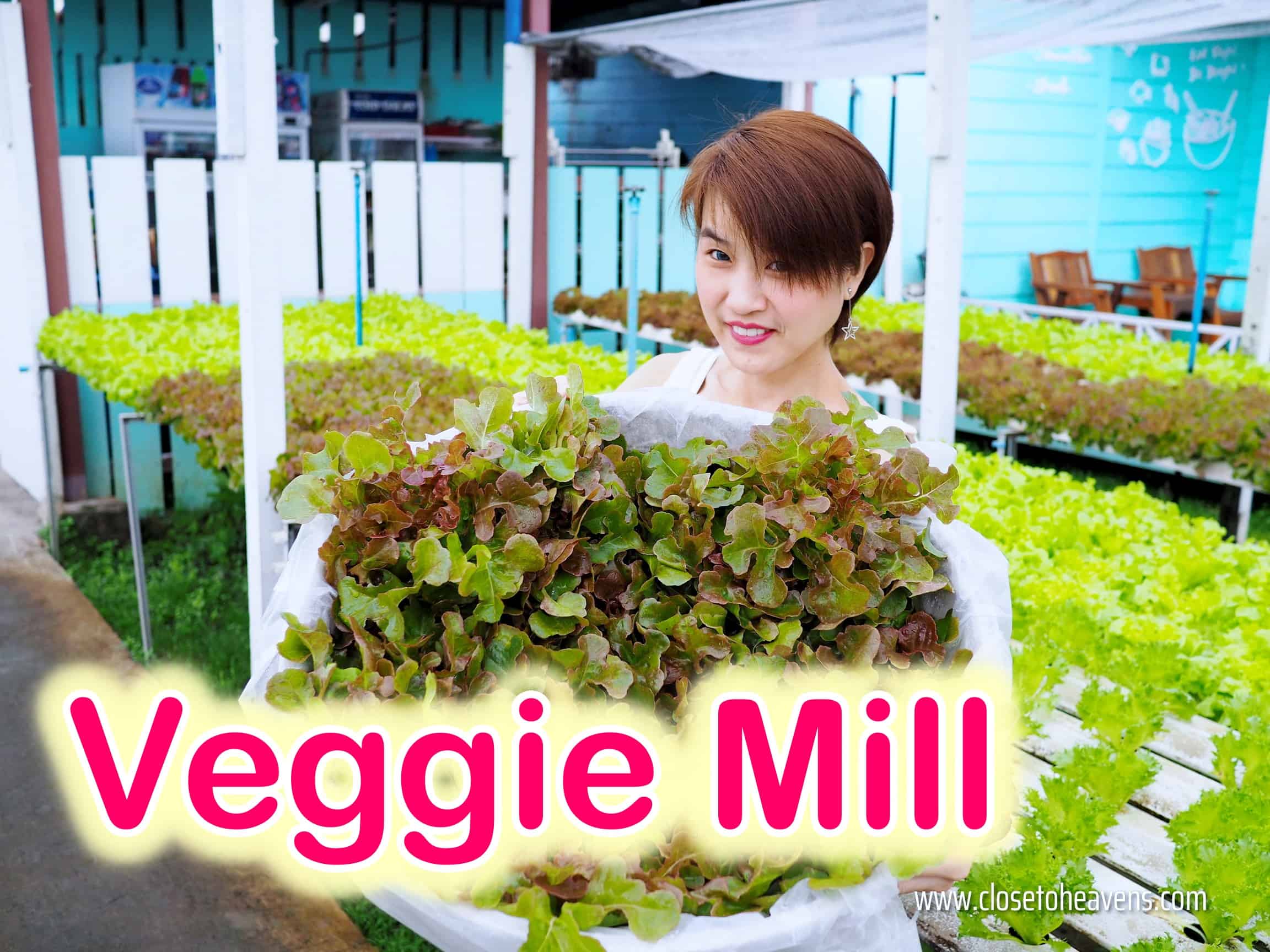 Veggie Mill ร้านอาหาร สลัด สเต็ก ซอย สวนผัก 32