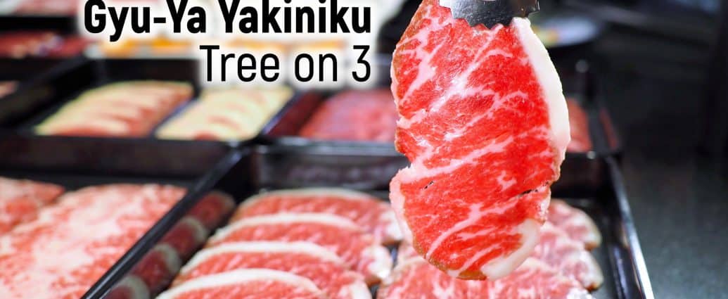 Gyu-Ya Yakiniku | Tree on 3 บุฟเฟ่ต์เนื้อย่าง กุ้งแม่น้ำไม่อั้น