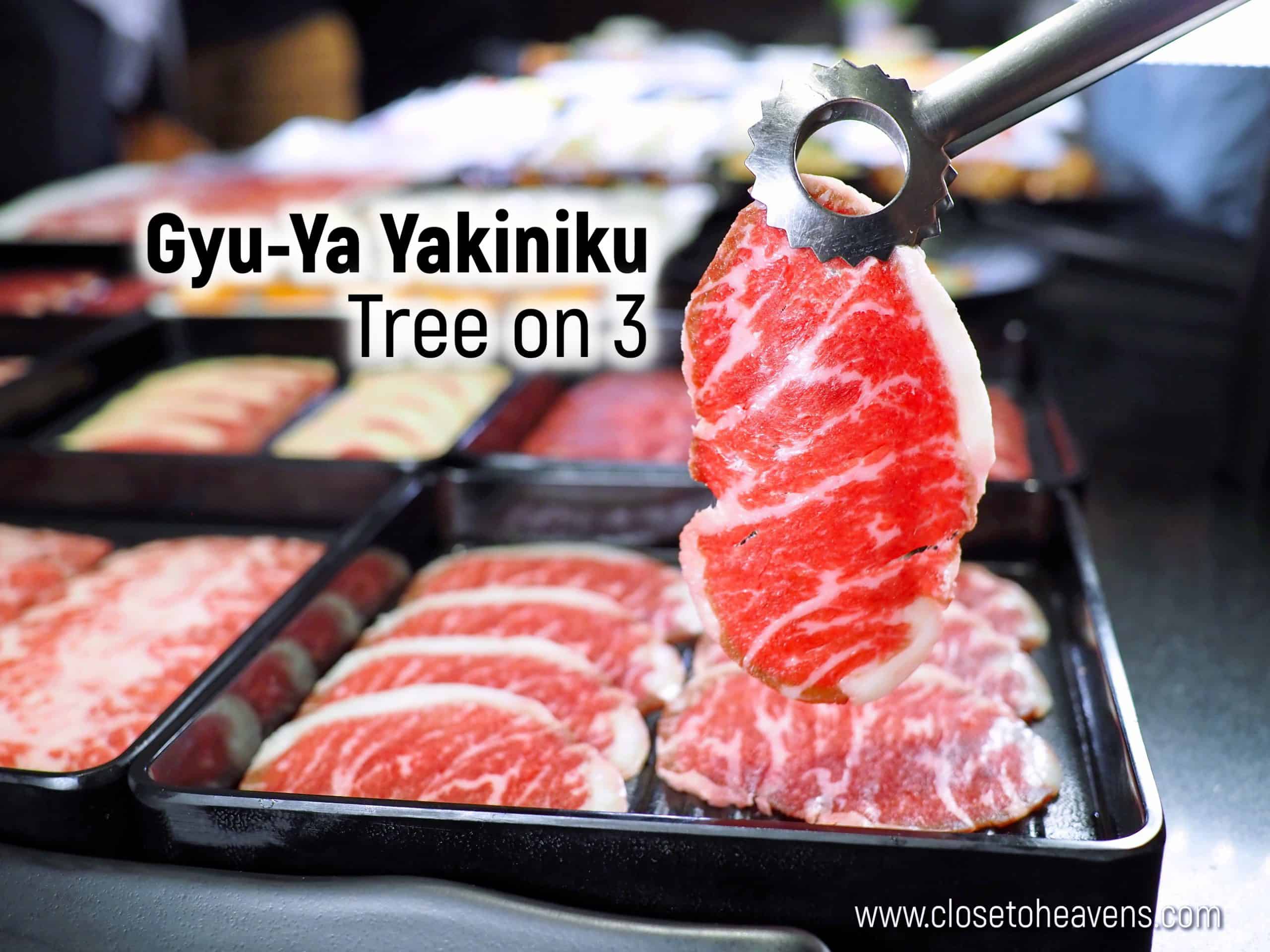 Gyu-Ya Yakiniku | Tree on 3 บุฟเฟ่ต์เนื้อย่าง กุ้งแม่น้ำไม่อั้น