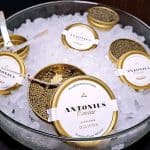 งานเปิดตัว Antonius Caviar คาเวียร์ จาก Poland