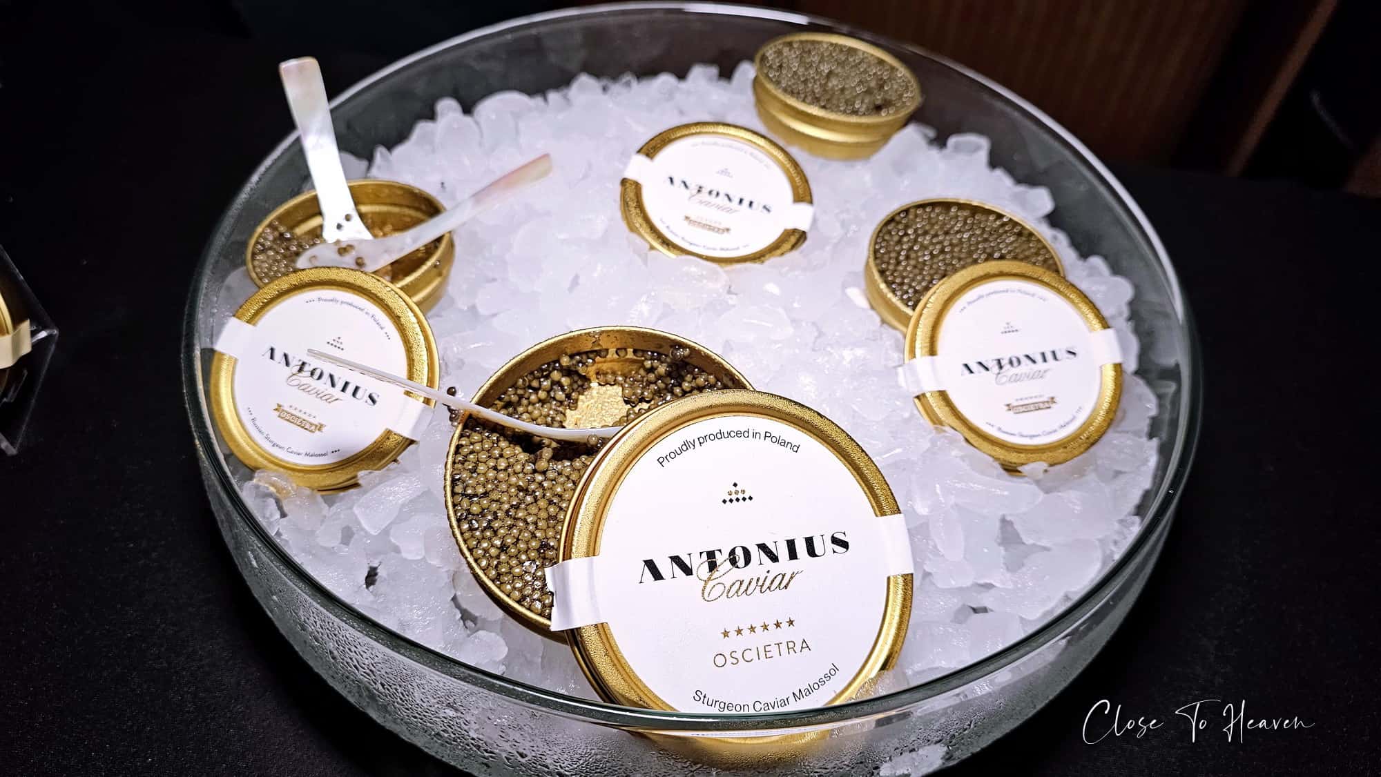 งานเปิดตัว Antonius Caviar คาเวียร์ จาก Poland