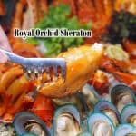 Sunday Brunch Buffet | Royal Orchid Sheraton