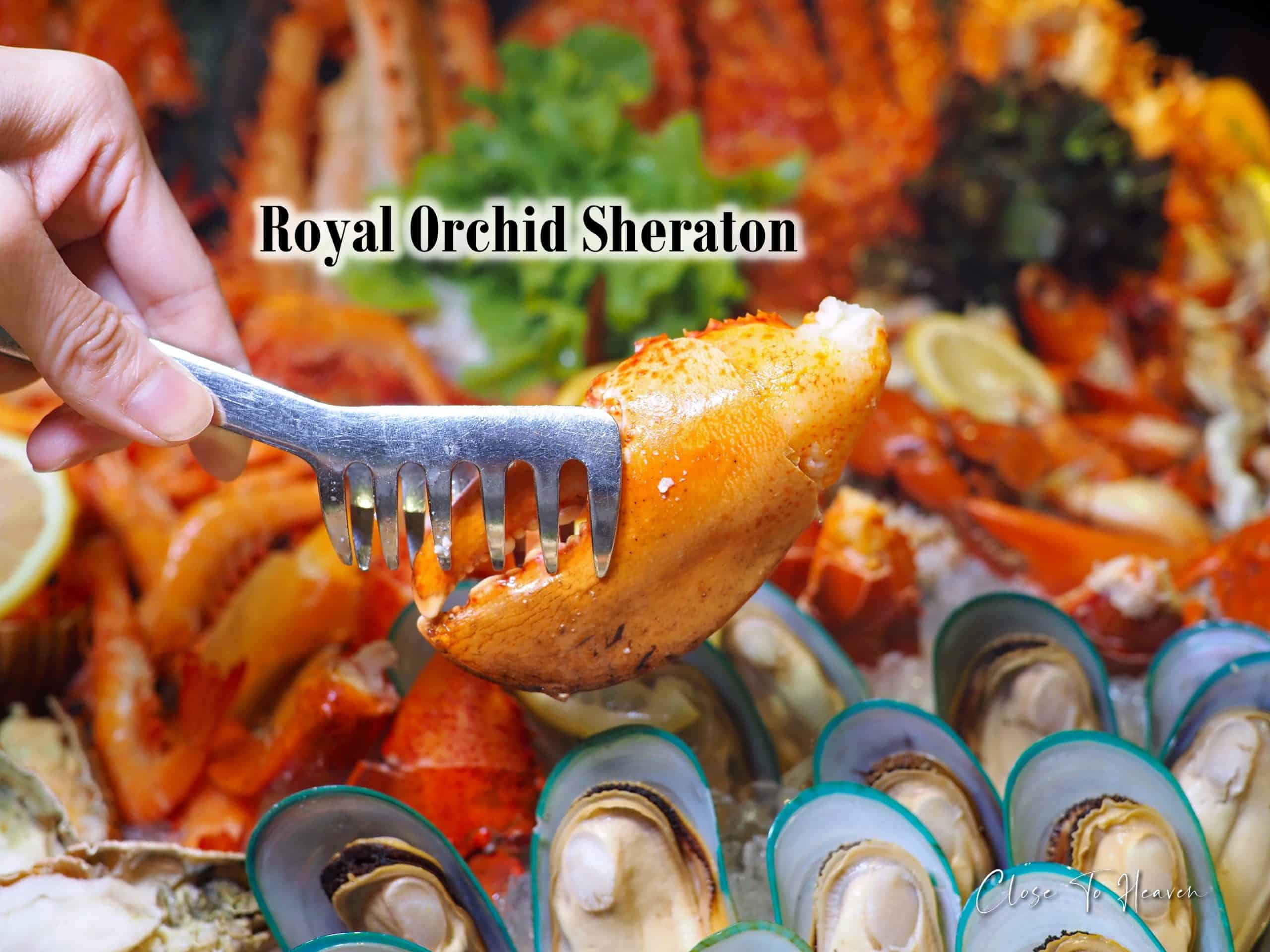 Sunday Brunch Buffet 2023 | Royal Orchid Sheraton