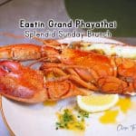 Splendid Sunday Brunch | Eastin Grand Phayathai