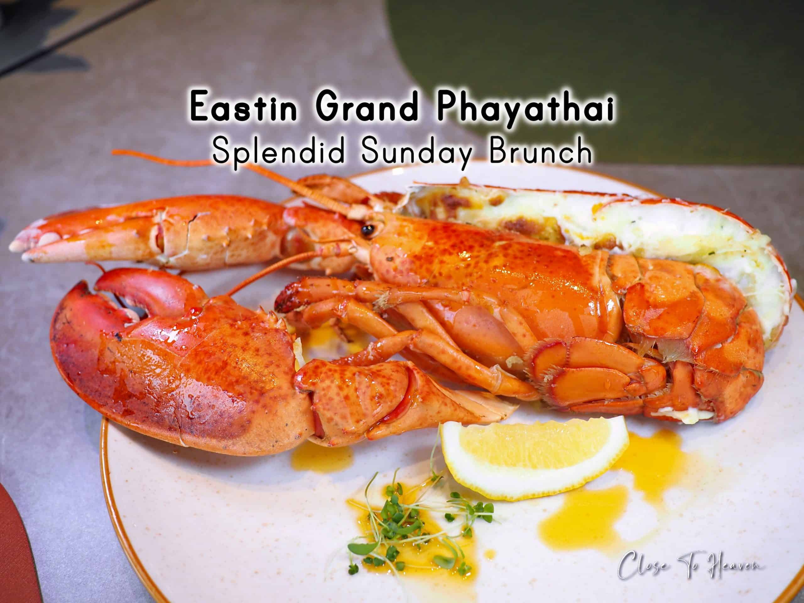 Splendid Sunday Brunch | Eastin Grand Phayathai